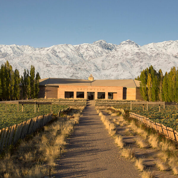 Bodega Salentein