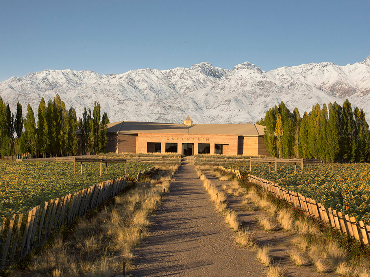 Bodega Salentein